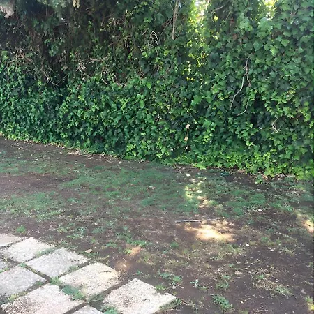 Chalet Con Piscina Privada Y Barbacoa * Jerez de la Frontera